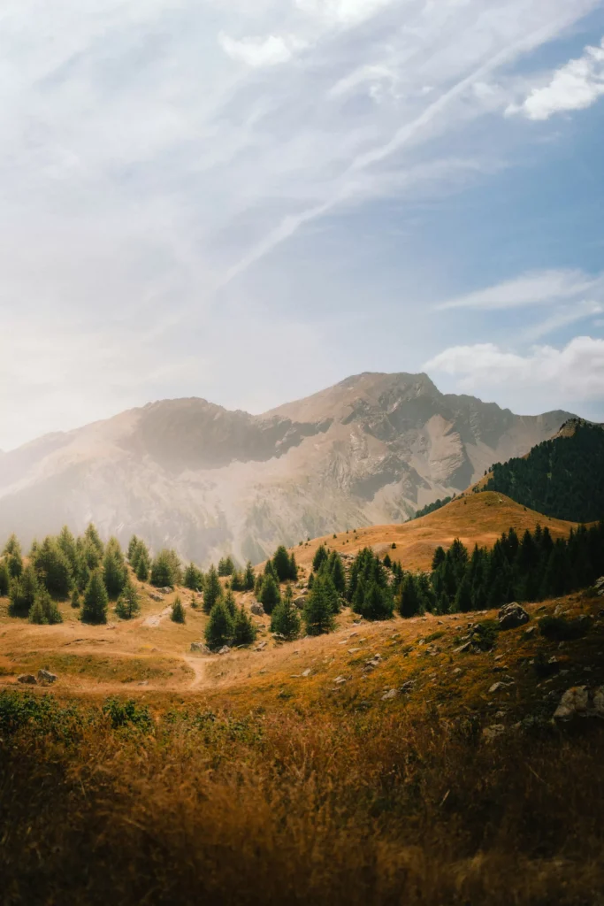 daniel-j-schwarz-zBidJdBbNVI-unsplash
